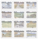 America's Beauty Desk Calendar